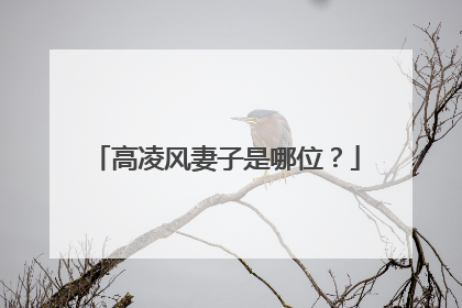 高凌风妻子是哪位？