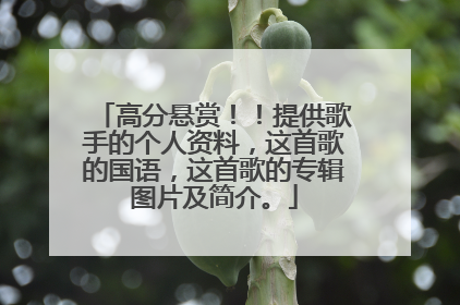 高分悬赏！！提供歌手的个人资料，这首歌的国语，这首歌的专辑图片及简介。