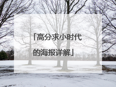 高分求小时代的海报详解