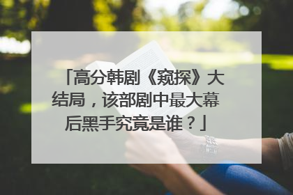 高分韩剧《窥探》大结局，该部剧中最大幕后黑手究竟是谁？