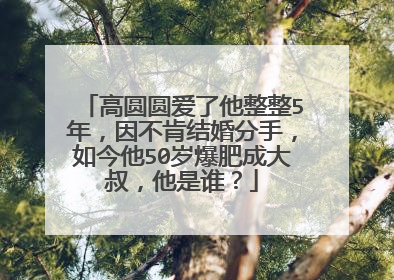 高圆圆爱了他整整5年，因不肯结婚分手，如今他50岁爆肥成大叔，他是谁？