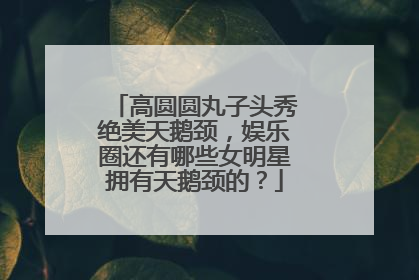 高圆圆丸子头秀绝美天鹅颈,娱乐圈还有哪些女明星拥有天鹅颈的?