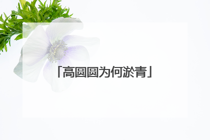 高圆圆为何淤青