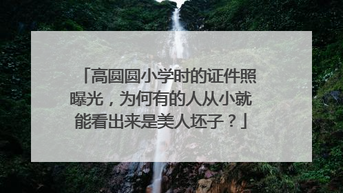 高圆圆小学时的证件照曝光,为何有的人从小就能看出来是美人坯子?