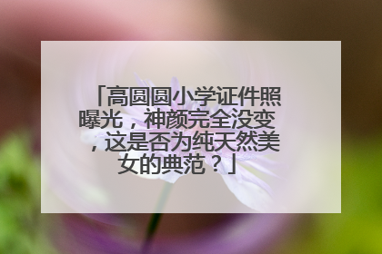 高圆圆小学证件照曝光,神颜完全没变,这是否为纯天然美女的典范?