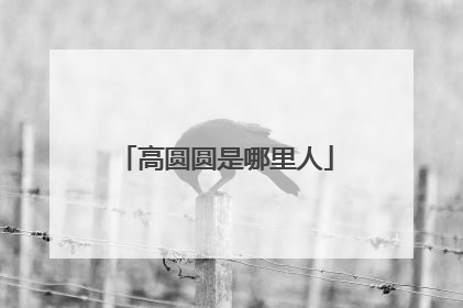 高圆圆是哪里人