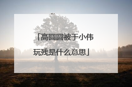高圆圆被于小伟玩残是什么意思