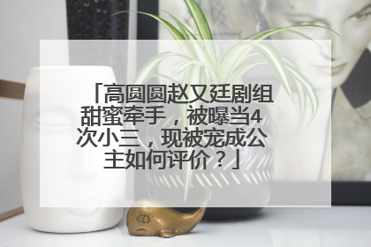 高圆圆赵又廷剧组甜蜜牵手，被曝当4次小三，现被宠成公主如何评价？