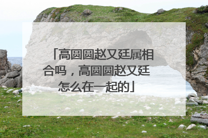 高圆圆赵又廷属相合吗，高圆圆赵又廷怎么在一起的