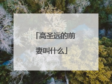 高圣远的前妻叫什么