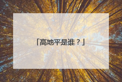 高地平是谁?