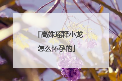 高姝瑶释小龙怎么怀孕的