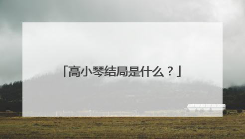 高小琴结局是什么？