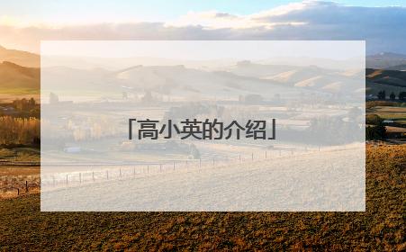 高小英的介绍
