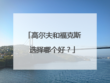 高尔夫和福克斯 选择哪个好？