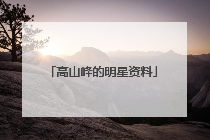 高山峰的明星资料