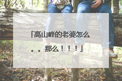 高山峰的老婆怎么。。那么！！！