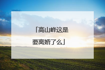 高山峰这是要离婚了么