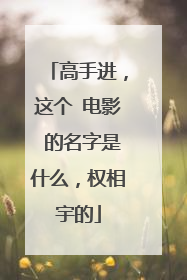 高手进，这个 电影 的名字是什么，权相宇的