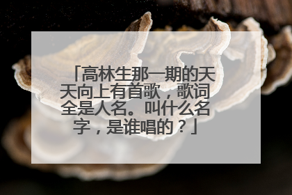 高林生那一期的天天向上有首歌,歌词全是人名。叫什么名字,是谁唱的?