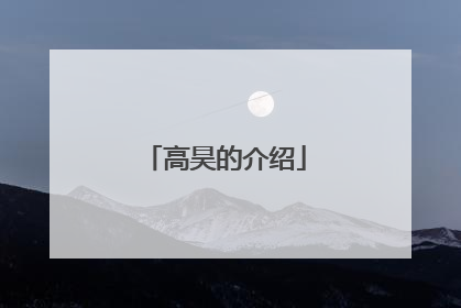 高昊的介绍