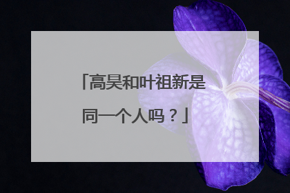 高昊和叶祖新是同一个人吗?