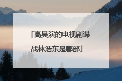 高昊演的电视剧谍战林浩东是哪部