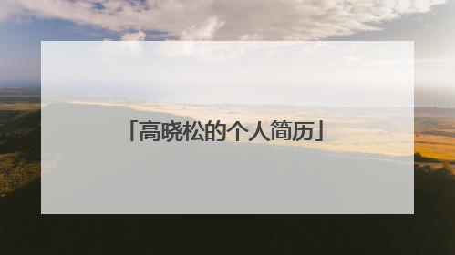 高晓松的个人简历