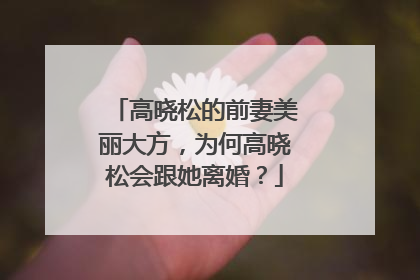 高晓松的前妻美丽大方,为何高晓松会跟她离婚?