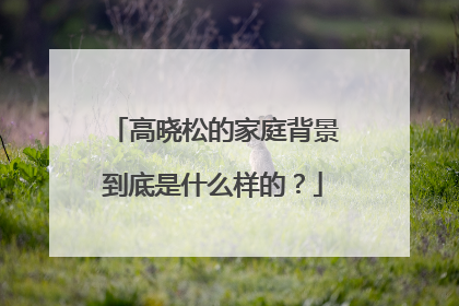 高晓松的家庭背景到底是什么样的?