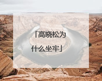 高晓松为什么坐牢