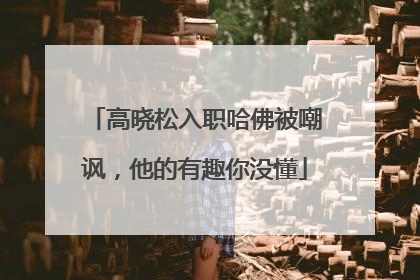 高晓松入职哈佛被嘲讽,他的有趣你没懂