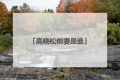 高晓松前妻是谁