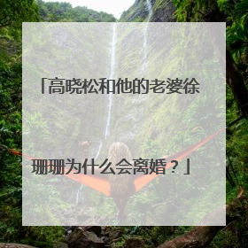 高晓松和他的老婆徐珊珊为什么会离婚?