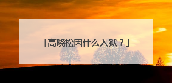 高晓松因什么入狱？