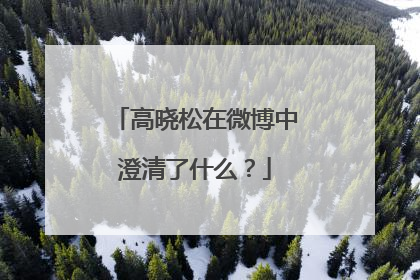 高晓松在微博中澄清了什么？