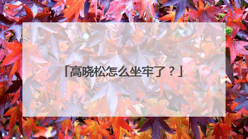 高晓松怎么坐牢了？