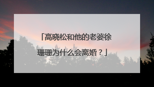 高晓松和他的老婆徐珊珊为什么会离婚？
