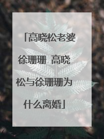 高晓松老婆徐珊珊 高晓松与徐珊珊为什么离婚