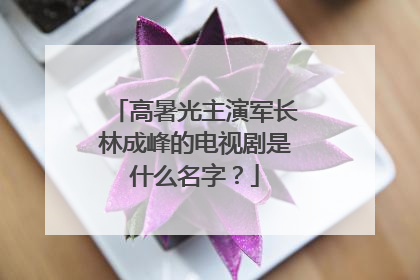 高暑光主演军长林成峰的电视剧是什么名字？