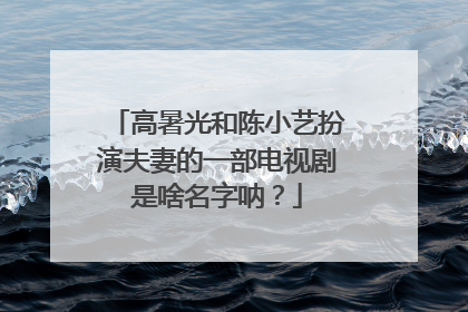 高暑光和陈小艺扮演夫妻的一部电视剧是啥名字呐?