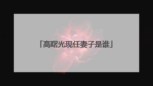 高曙光现任妻子是谁