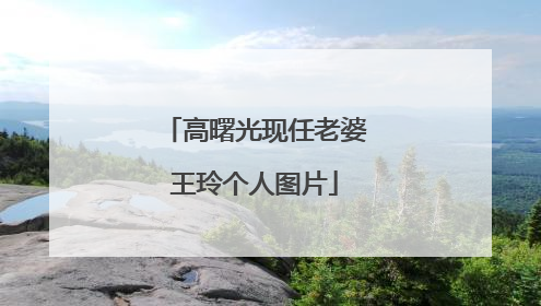 高曙光现任老婆王玲个人图片