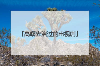 高曙光演过的电视剧