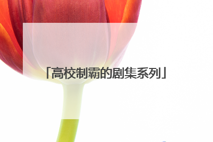 高校制霸的剧集系列