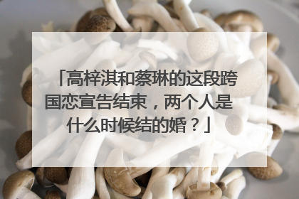 高梓淇和蔡琳的这段跨国恋宣告结束,两个人是什么时候结的婚?