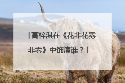 高梓淇在《花非花雾非雾》中饰演谁？
