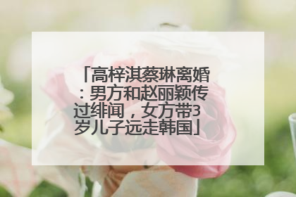 高梓淇蔡琳离婚：男方和赵丽颖传过绯闻，女方带3岁儿子远走韩国