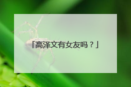 高泽文有女友吗?