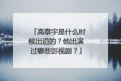 高泰宇是什么时候出道的？他出演过哪些影视剧？